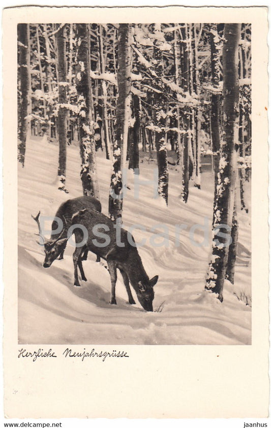 New Year Greeting Card - Herzliche Neujahrsgrusse - deer - forest - NPG 3454 - old postcard - 1938 - Germany - used - JH Postcards