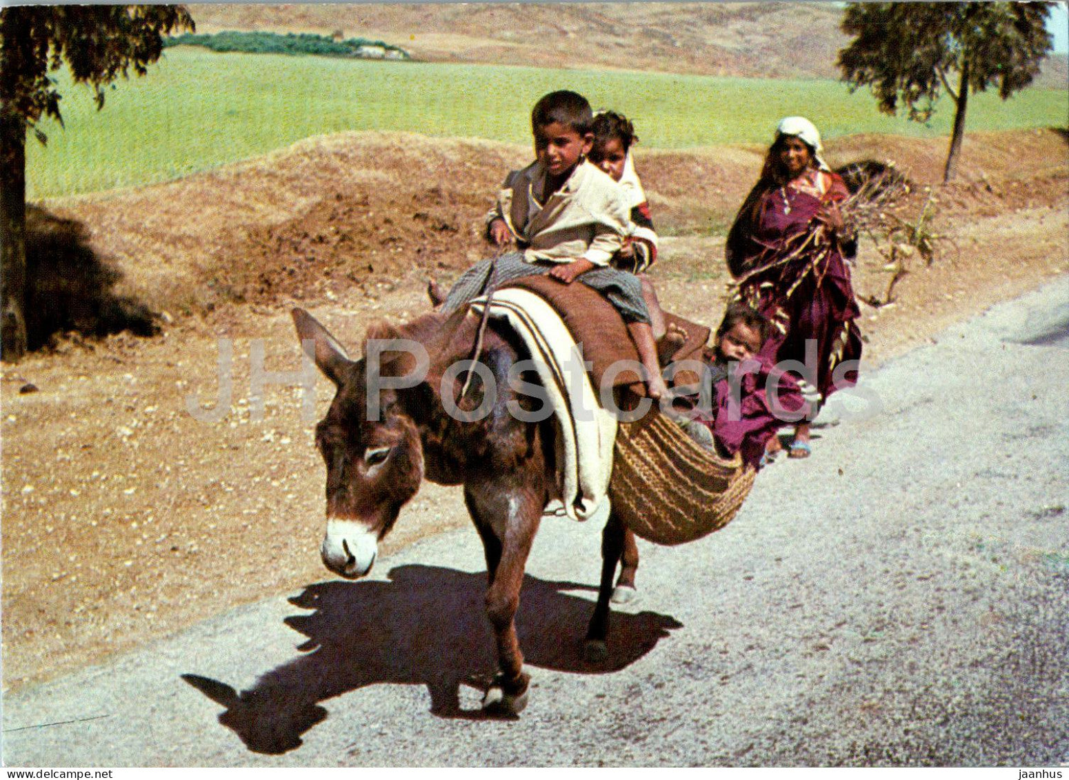 Sur la route de Kairouan - On the road to Kairouan - donkey - animals - children - 96 - Tunisia - unused - JH Postcards