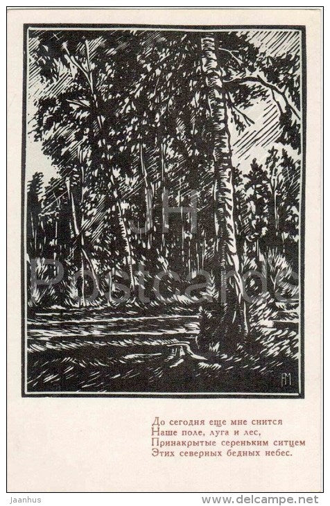 illustration by A. Mischenko - Birch Grove , 1870 - russian art - unused - JH Postcards