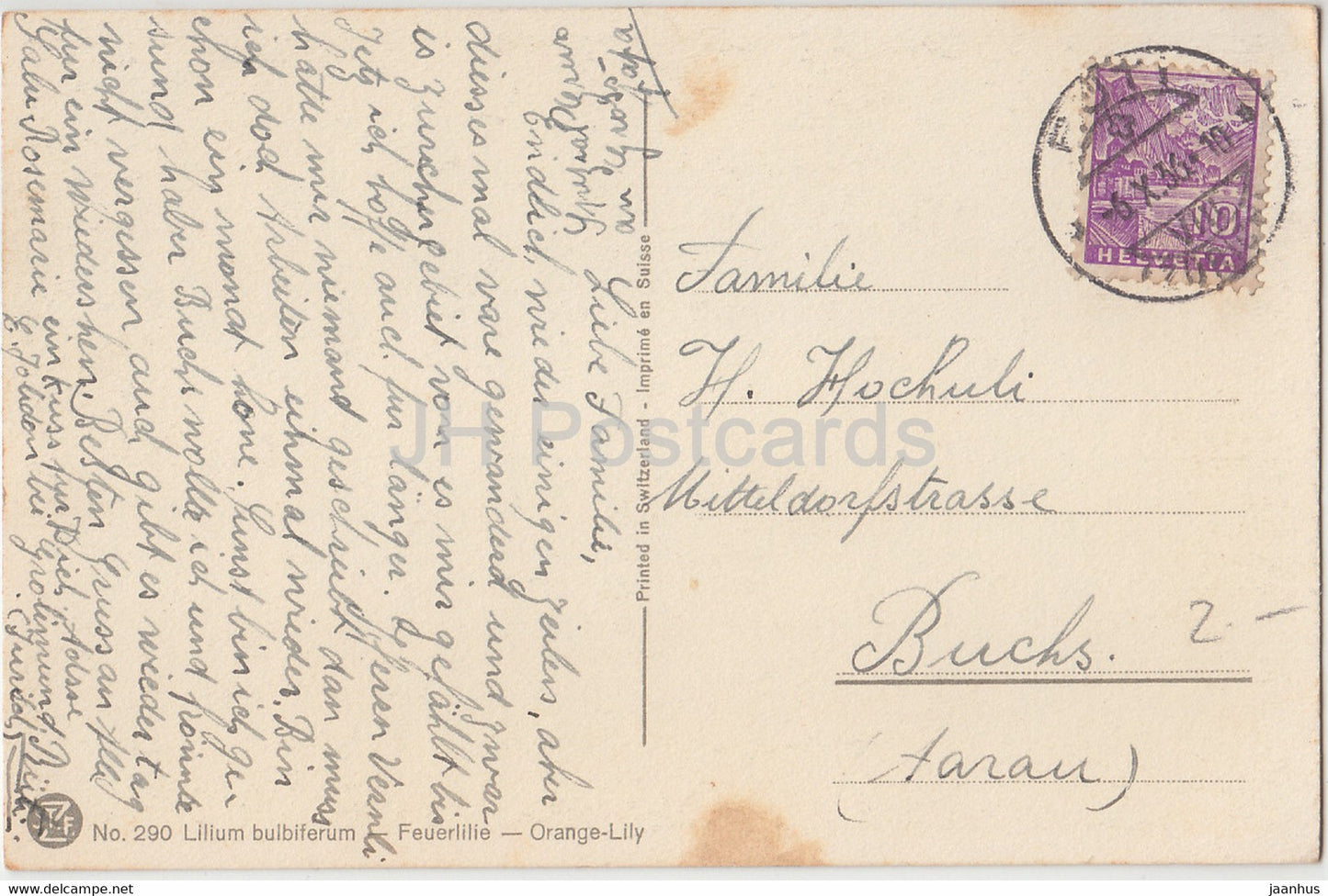 Lilium bulbiferum - Feuerlilie - Orange Lily - fleurs - 290 - carte postale ancienne - 1936 - Suisse - utilisé