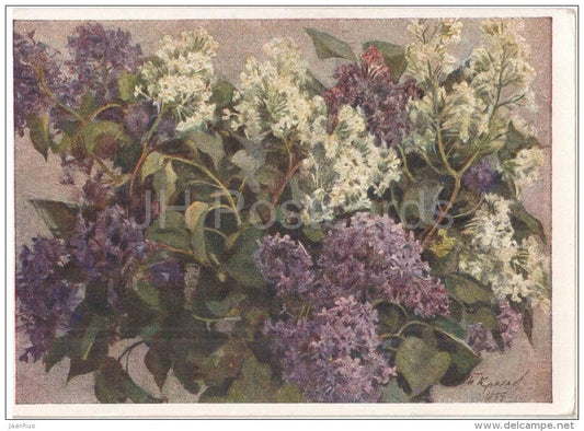 painting by P. Krylov - Lilac - flowers - russian art - unused - JH Postcards