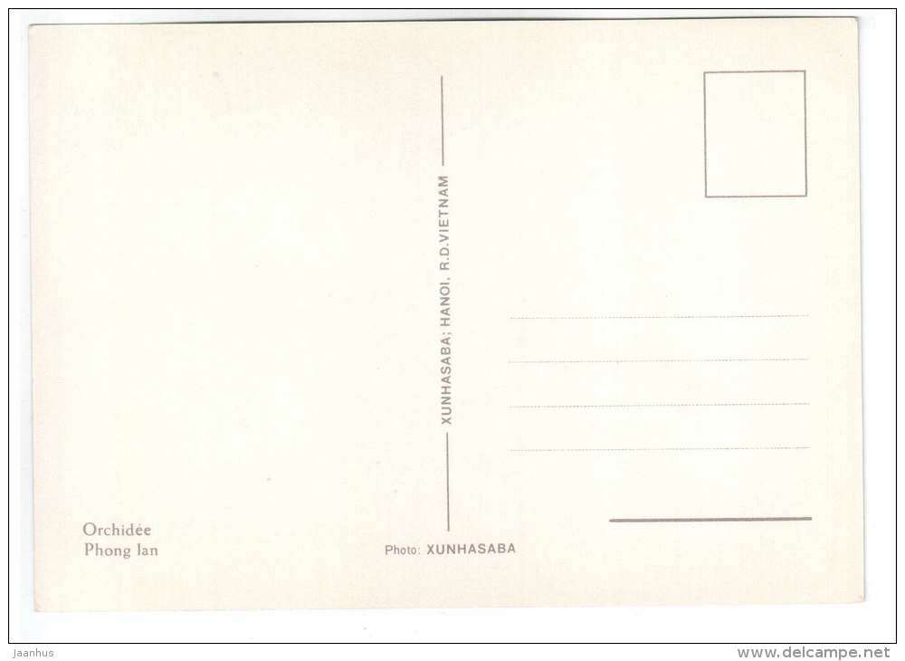 white orchid - flowers - Vietnam - unused - JH Postcards