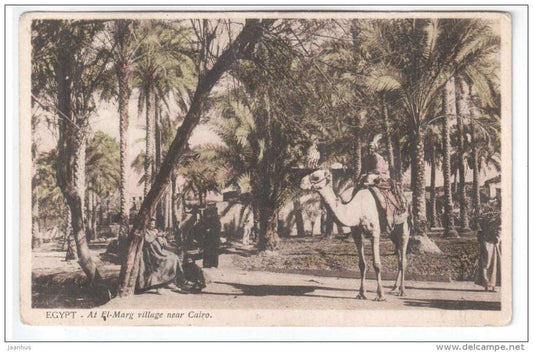 At El-Marg Village near Cairo - camel - 51 - Egypt - old postcard - unused - JH Postcards