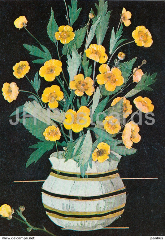 Buttercups - Flower Art - 1971 - Russia USSR - unused - JH Postcards
