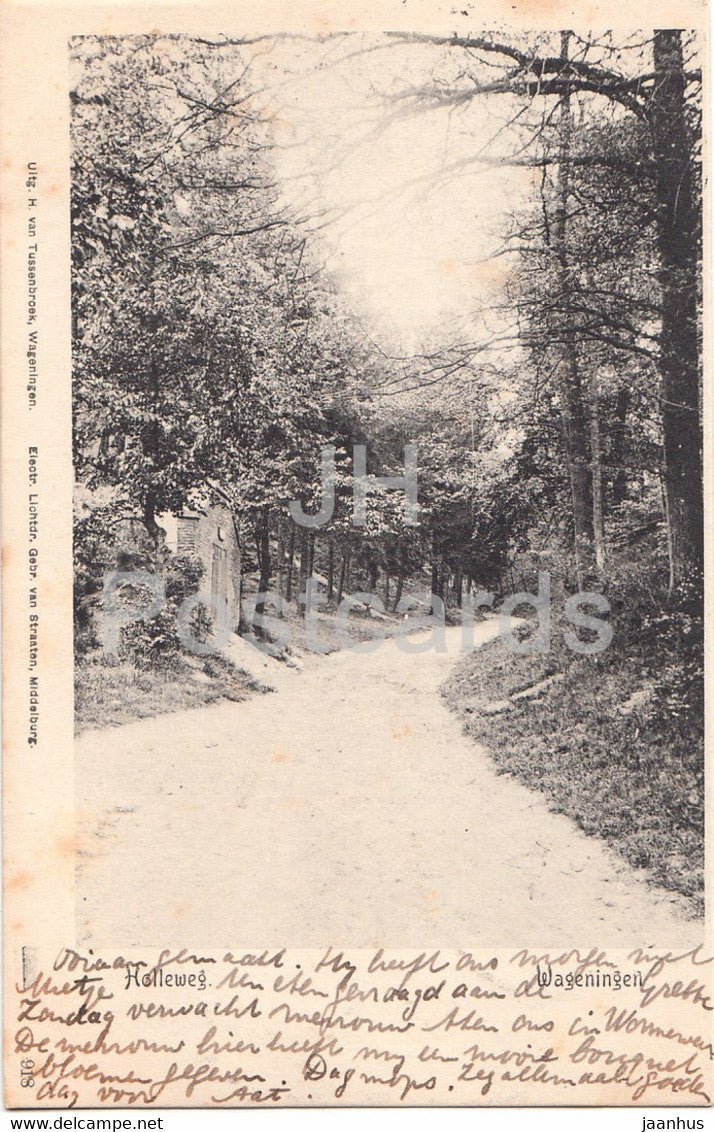 Wageningen - Holleweg - 918 - old postcard - 1905 - Netherlands - used - JH Postcards