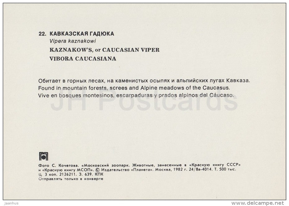 Caucasian viper - Vipera kaznakovi - Moscow Zoo - 1982 - Russia USSR - unused - JH Postcards