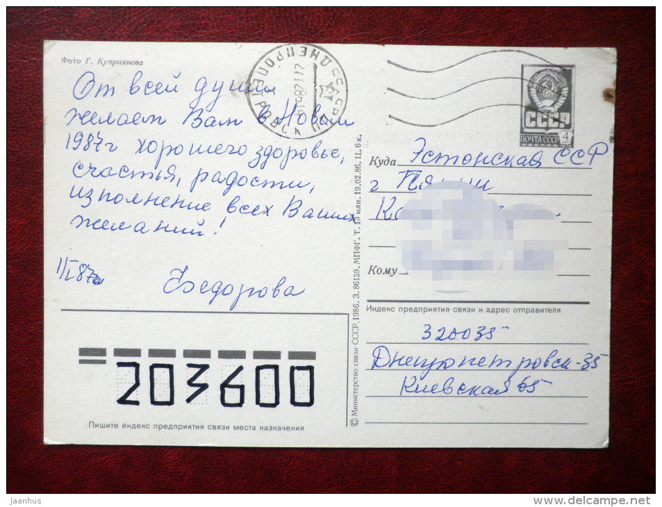 New Year greeting card - Ded Moroz - Santa Claus - bears - 1986 - Russia USSR - used - JH Postcards