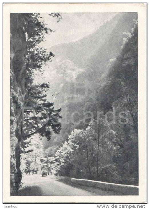 Yupshara Gorge - Lake Ritsa - Abkhazia - Caucasus - 1955 - Georgia USSR - unused - JH Postcards
