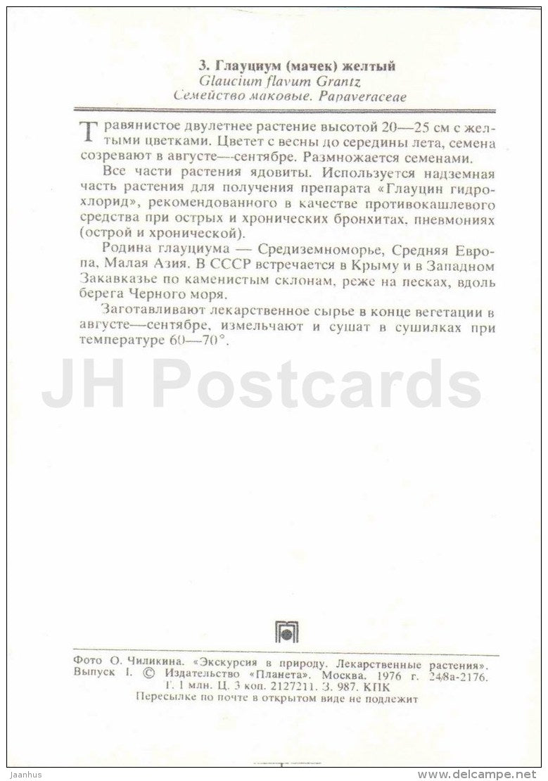 Horned Poppy - Glaucium flavum - medicinal plants - 1976 - Russia USSR - unused - JH Postcards