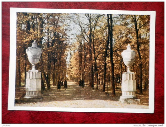 Petrodvorets - St. Petersburg - Voronikhin vases - 1955 - Russia - USSR - unused - JH Postcards