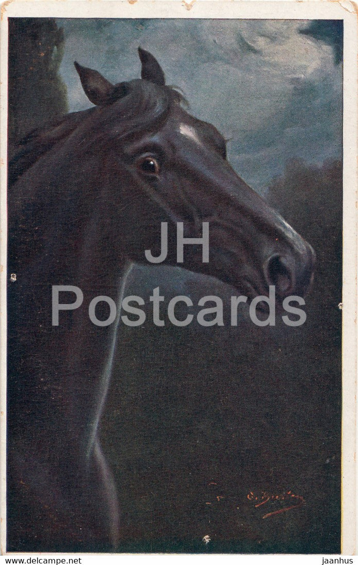 black horse - illustration - B K W I - old postcard - used - JH Postcards