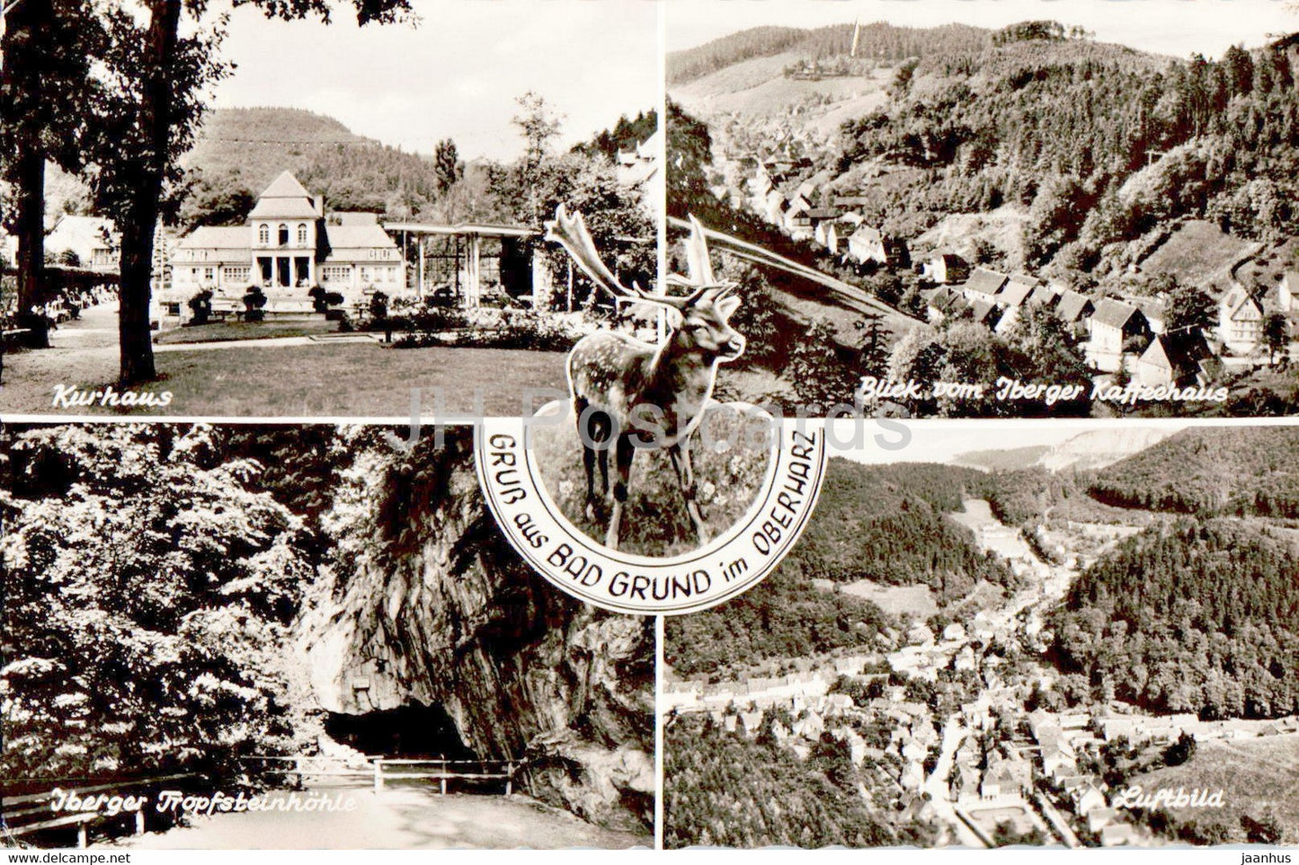 Gruss aus Bad Grund im Oberharz - Kurhaus - Iberger Kaffeehaus - Luftbild - deer - old postcard - Germany - unused - JH Postcards