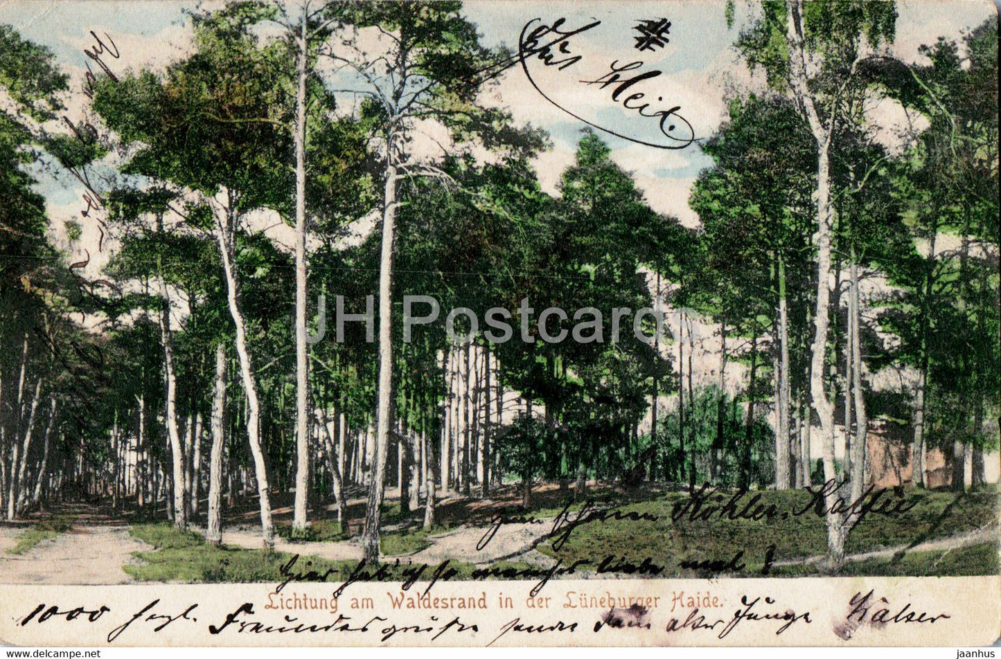 Lichtung am Waldesrand in der Luneburger Haide - old postcard - 1905 - Germany - used - JH Postcards