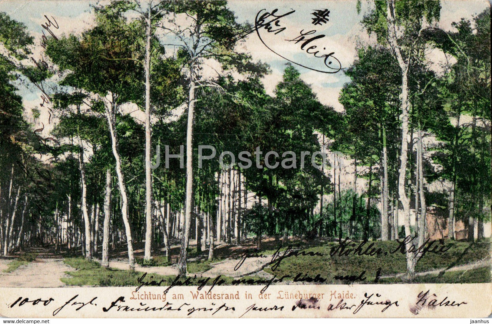 Lichtung am Waldesrand in der Luneburger Haide - old postcard - 1905 - Germany - used - JH Postcards