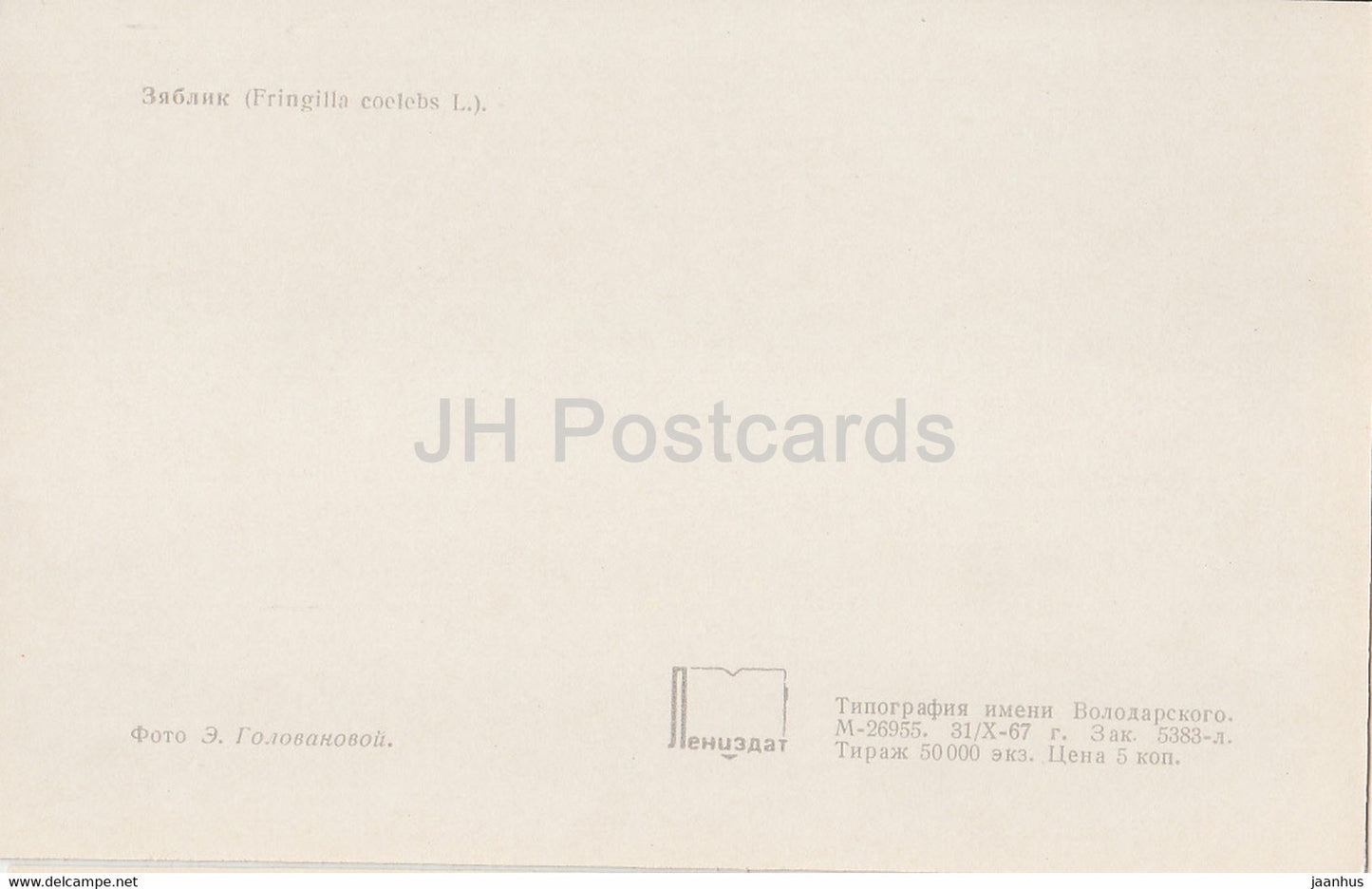 Common chaffinch - Fringilla coelebs - birds - 1968 - Russia USSR - unused