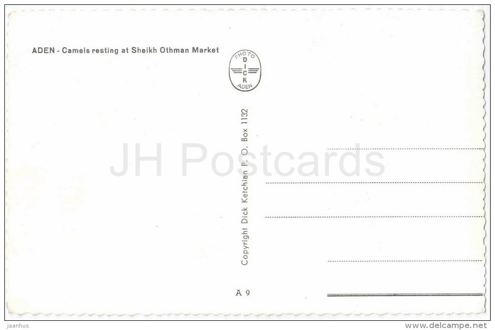 Camels resting at Sheikh Othman Market - A 9 - Aden - old postcard - Yemen - unused - JH Postcards