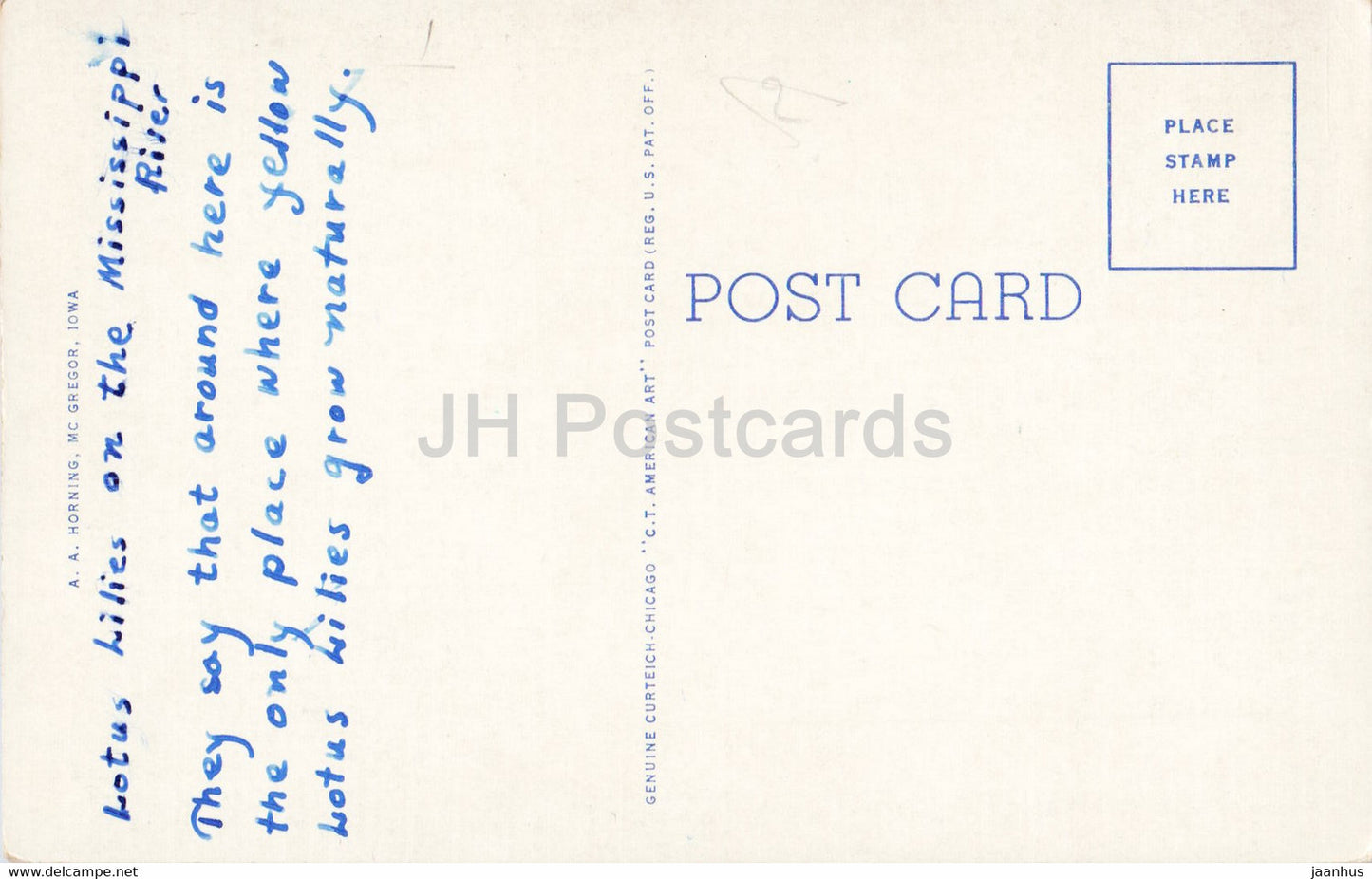 Lily Pond sur le Mississippi à McGregor - Iowa et Prairie du Chien - Wisconsin - carte postale ancienne - USA - occasion