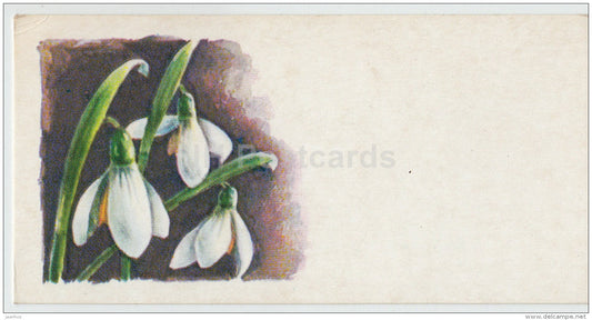 mini Birthday greeting card - snowdrop - flowers - 1978 - Latvia USSR - unused - JH Postcards