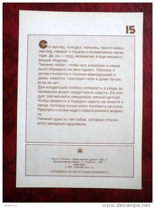 Pekingese - dogs - 1991 - Russia - USSR - unused - JH Postcards