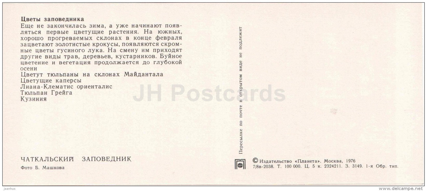 tulips - capers - Cousinia - flowers - Chatkalsky National Park - 1976 - Uzbekistan USSR - unused - JH Postcards