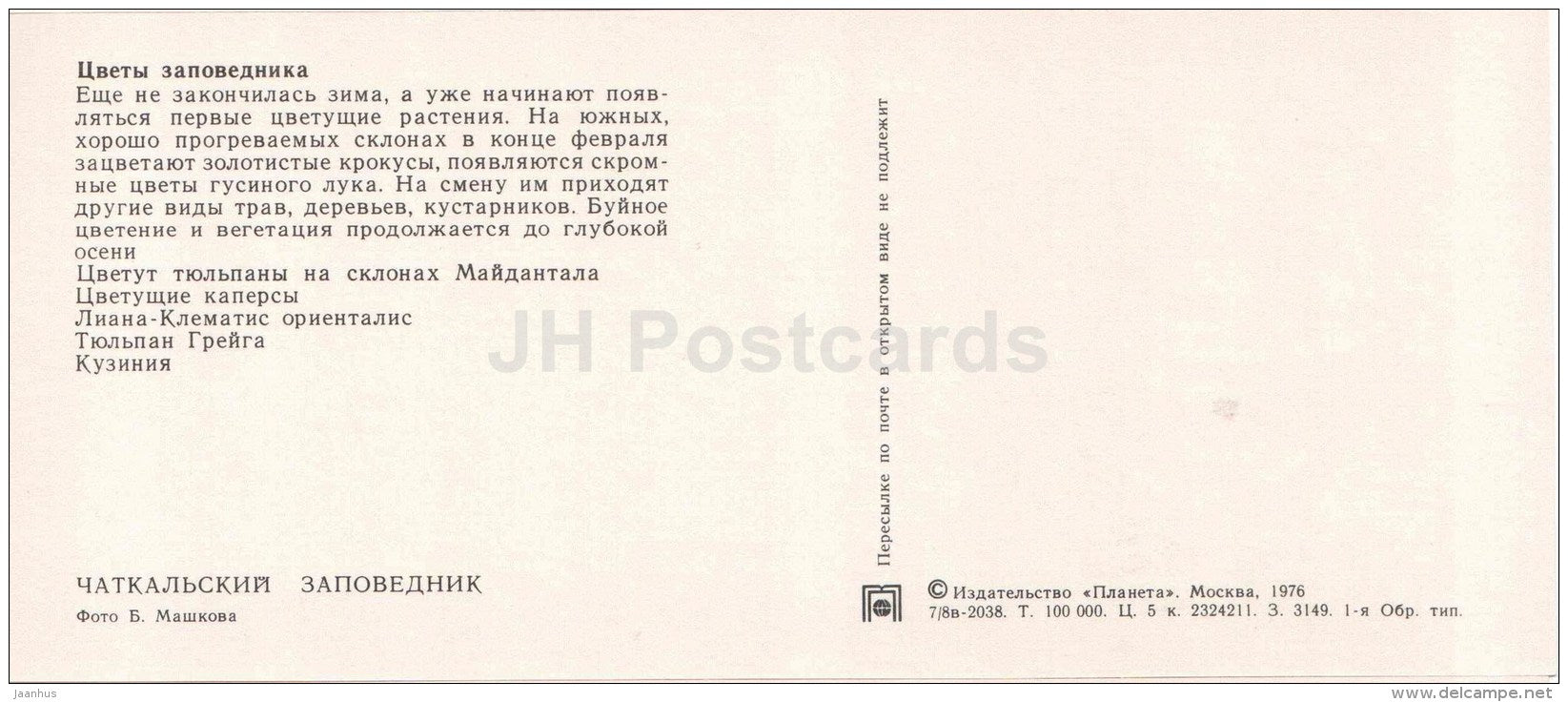 tulips - capers - Cousinia - flowers - Chatkalsky National Park - 1976 - Uzbekistan USSR - unused - JH Postcards