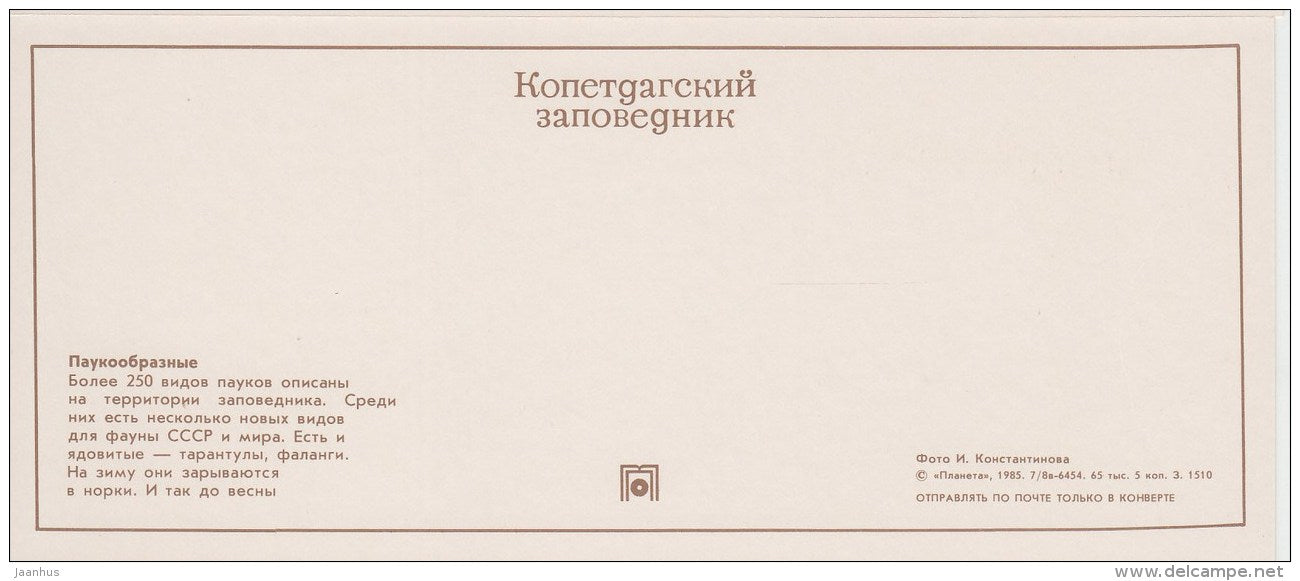 arachnids - tarantula - Sun spider - spider - scorpion - Kopet Dagh Nature Reserve - 1985 - Turkmenistan USSR - unused - JH Postcards