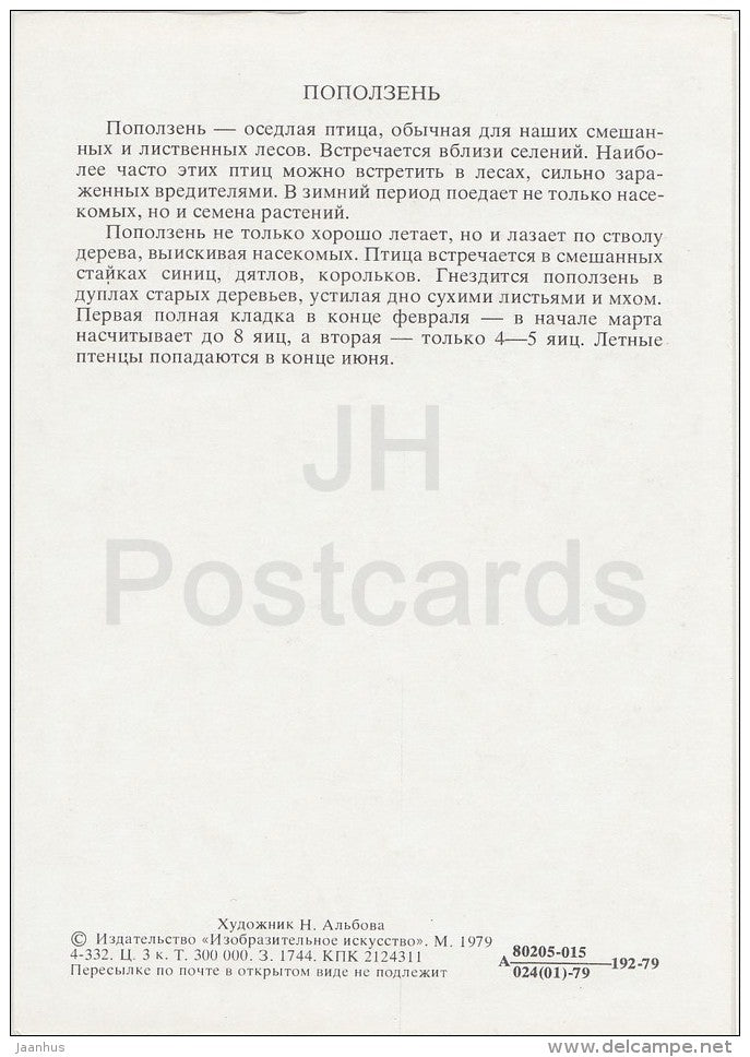 Nuthatch - Sittidae - Birds of Russian Forest - 1979 - Russia USSR - unused - JH Postcards
