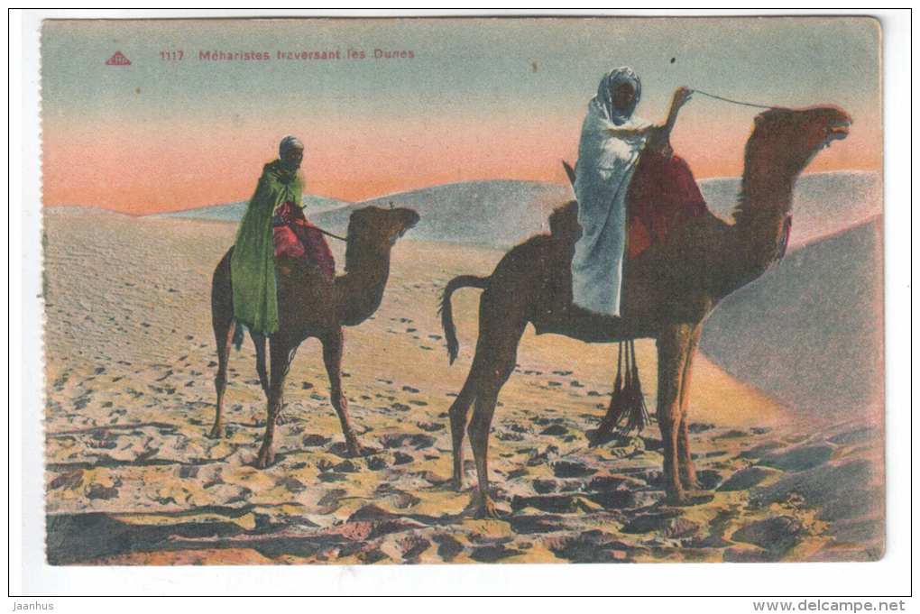 Meharistes traversant les Dunes - Meharists through the Dunes - camel - 1117 - Algeria - old postcard - unused - JH Postcards