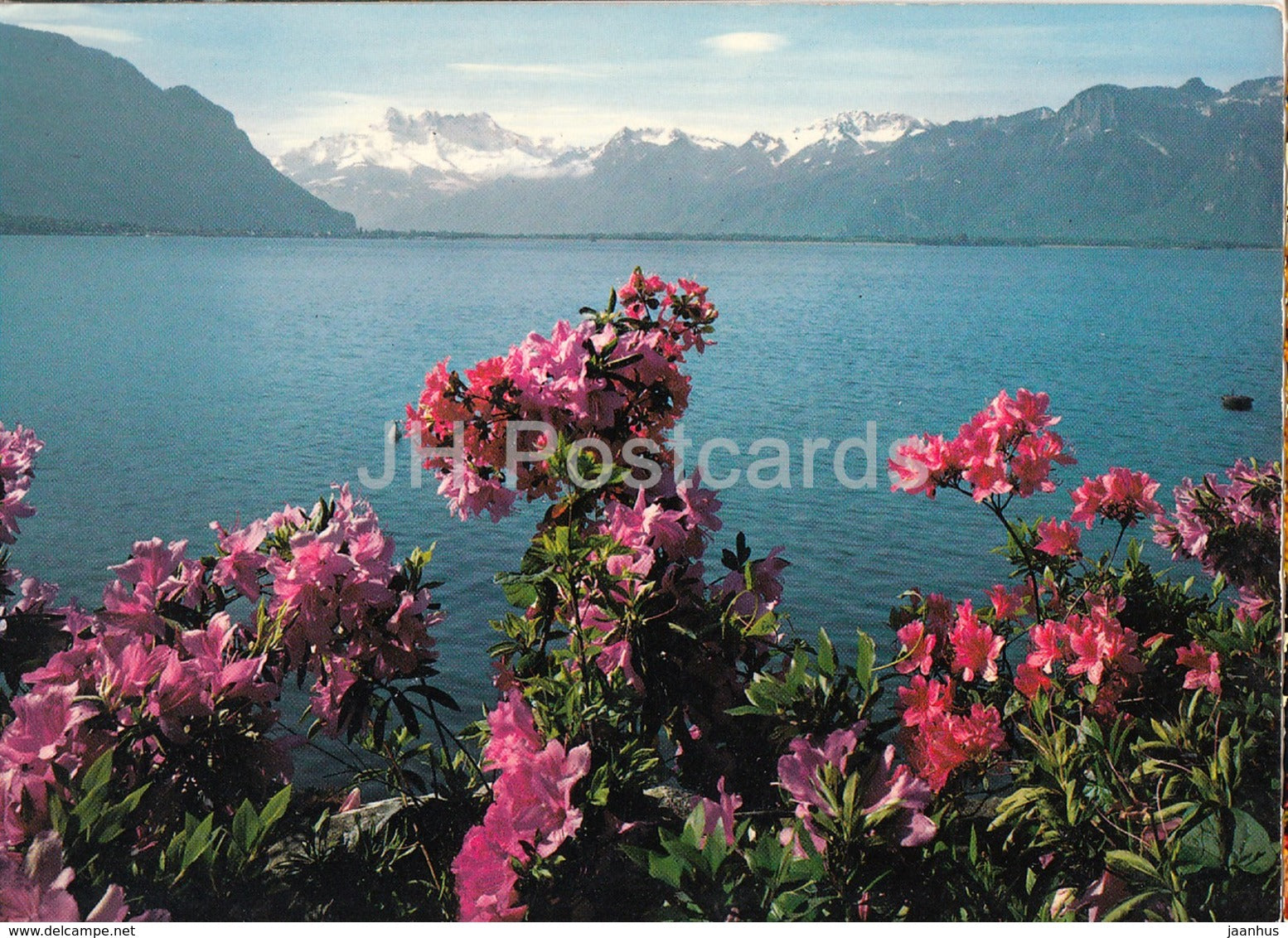 Montreux - lac Leman  et les Dents-du-Midi - 9540 - Switzerland - unused - JH Postcards