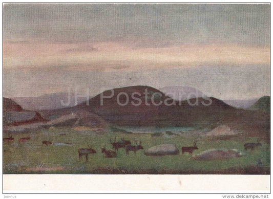 painting by V. Kraynev - Northern night - reindeer - russian art - unused - JH Postcards