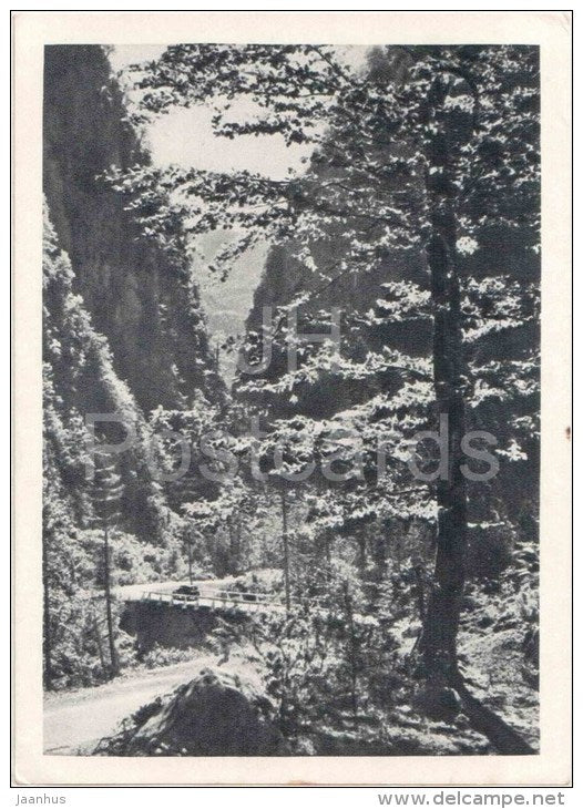 Yupshara Gorge - 1 - Lake Ritsa - Abkhazia - Caucasus - 1955 - Georgia USSR - unused - JH Postcards