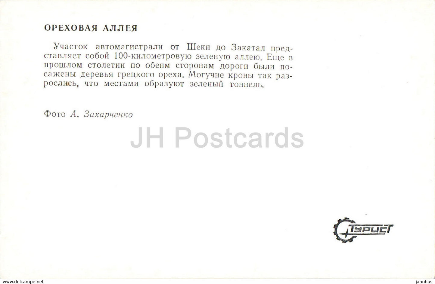Zaqatala - Zakatala - Zakataly - Walnussallee - 1976 - Aserbaidschan UdSSR - unbenutzt