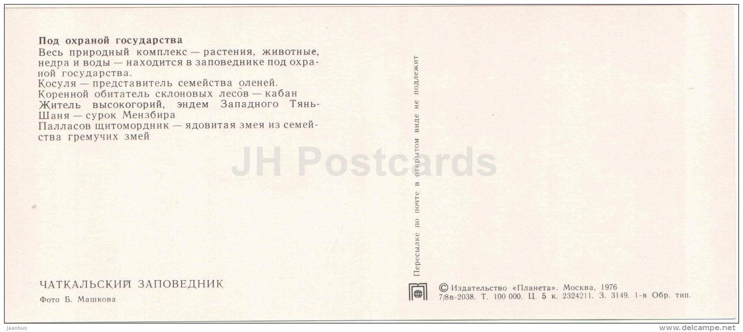 Roe Deer - Siberian pit viper - Gloydius halys - Chatkalsky National Park - 1976 - Uzbekistan USSR - unused - JH Postcards