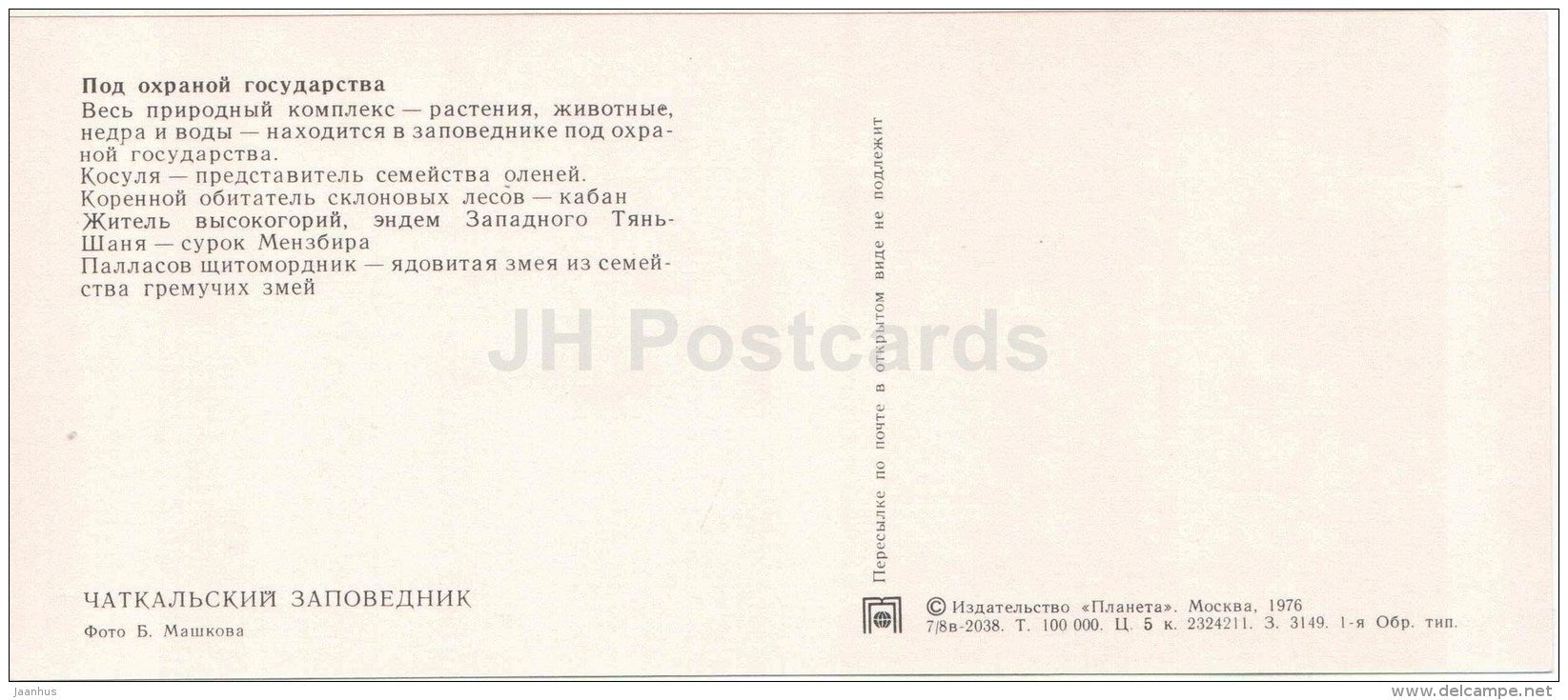 Roe Deer - Siberian pit viper - Gloydius halys - Chatkalsky National Park - 1976 - Uzbekistan USSR - unused - JH Postcards