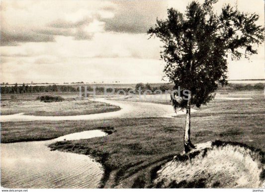 Pyotr Tchaikovsky - Environs of Klin - famous people - 1966 - Russia USSR - unused - JH Postcards