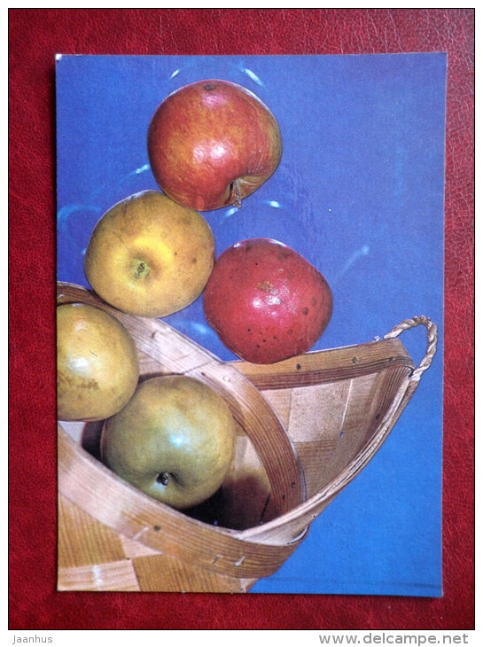 Greeting Card - apples - wooden basket - 1990 - Estonia USSR - used - JH Postcards