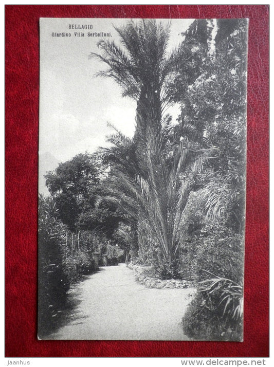 Giardino Villa Serbelloni - Bellagio -2635 - garden - palm tree - old postcard - Italy - unused - JH Postcards