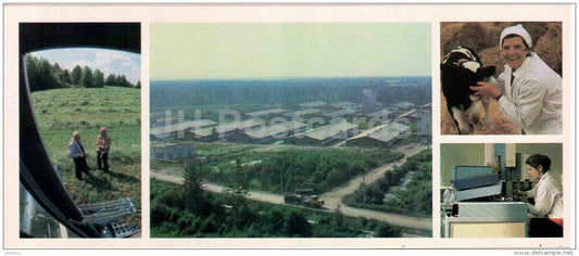 cattle-breeding complex of the farm - cow - Vologda Region - 1987 - Russia USSR - unused - JH Postcards