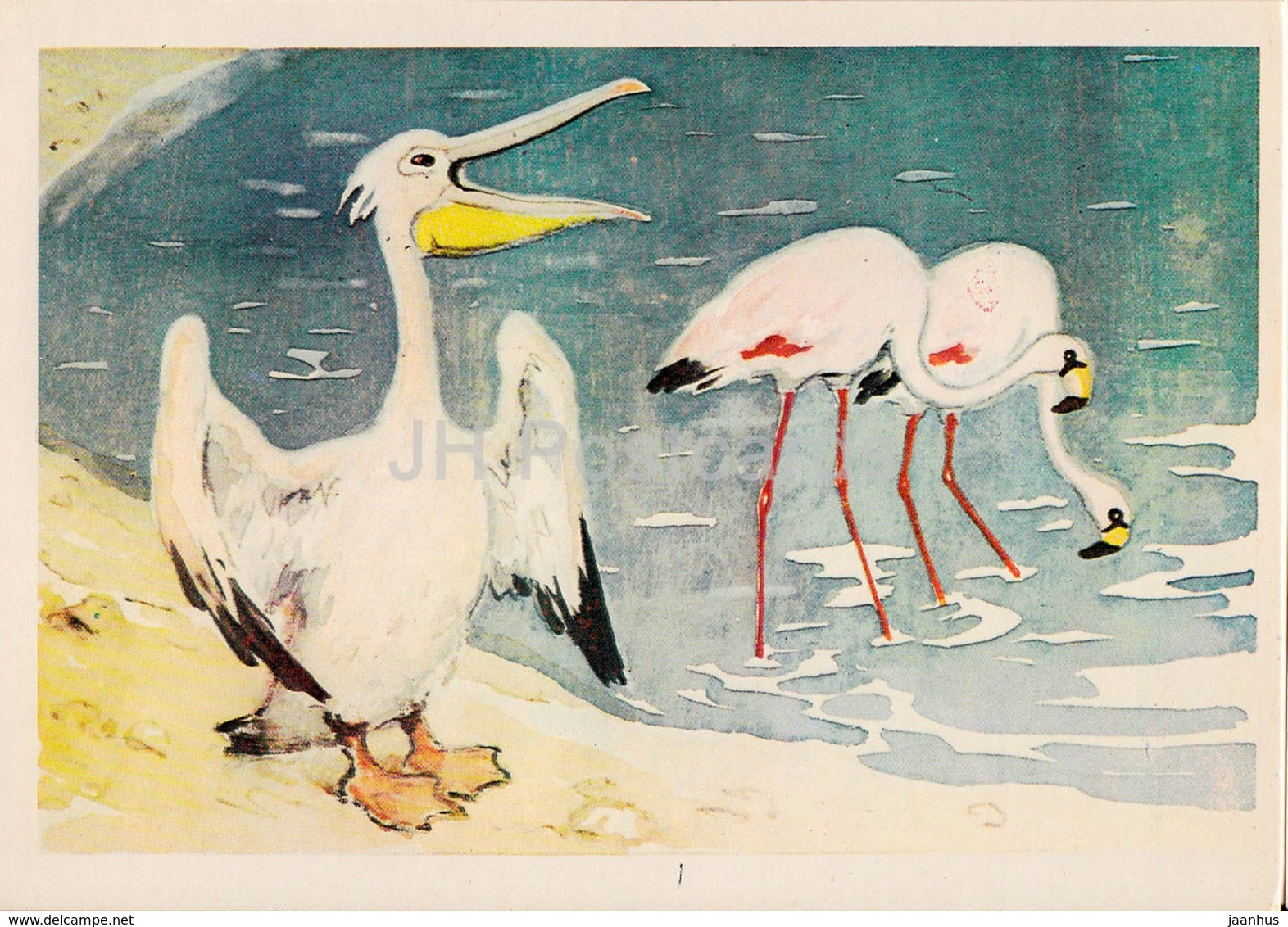 illustration by L. Gamburger - pelican - flamingo - animals - Postcards for Children - 1984 - Russia USSR - unused - JH Postcards