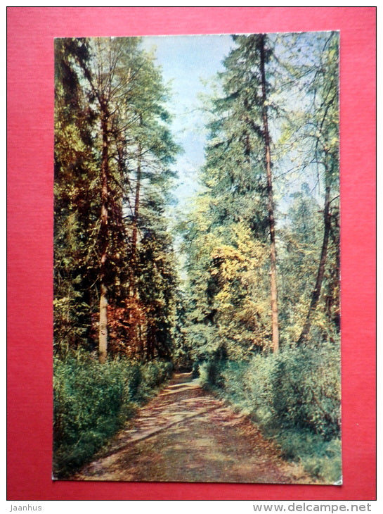 New Sylvia - New Forest - Pavlovsk - 1965 - Russia USSR - unused - JH Postcards
