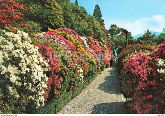 Lago di Como - Villa Carlotta - Viale delle azalee - Alley of the Azaleas - flowers - Italy - Italia - unused - JH Postcards