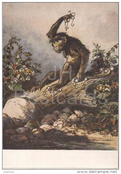 illustration by M. Taranov - Marmoset and Glasses - Fable by Krylov - 1956 - Russia USSR - unused - JH Postcards