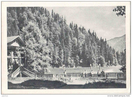 at the head of the Gulf Psey - Lake Ritsa - Abkhazia - Caucasus - 1955 - Georgia USSR - unused - JH Postcards