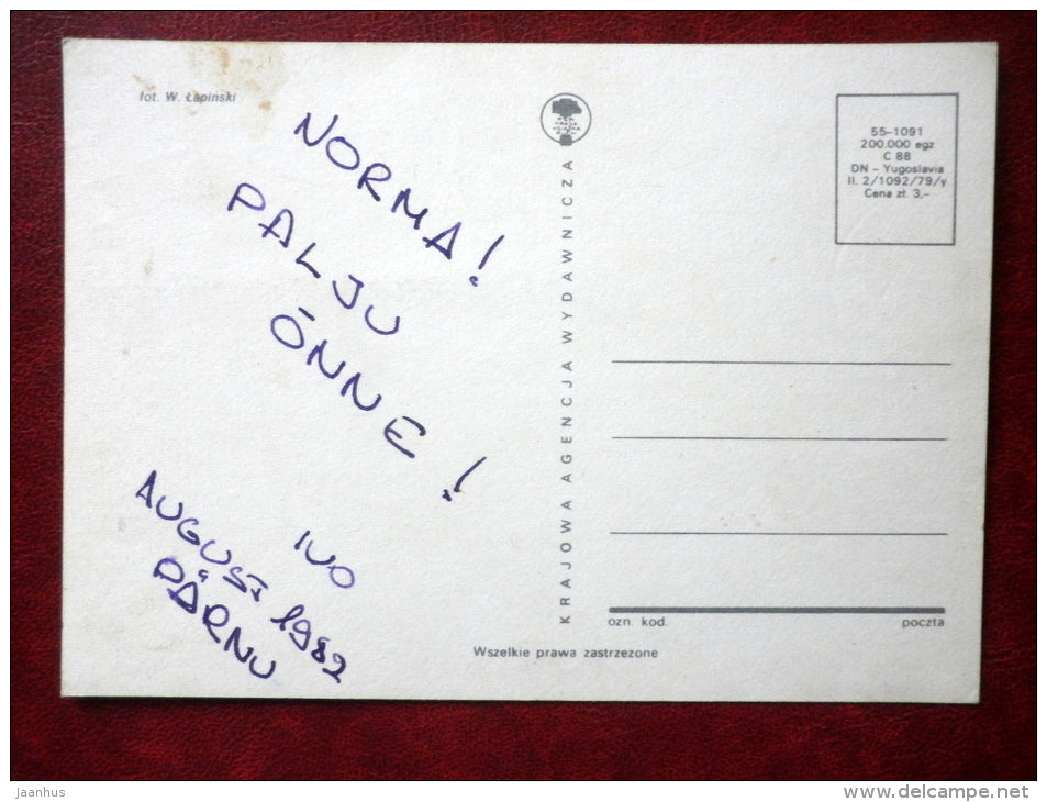 dog puppies - dogs - Yugoslavia - used - JH Postcards