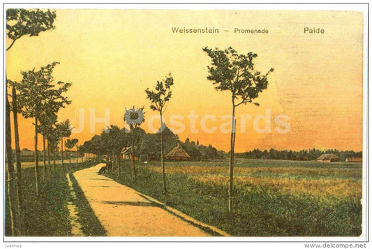 Parnu street - Paide - Weissenstein - OLD POSTCARD REPRODUCTION! - 1990 - Estonia USSR - unused - JH Postcards