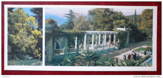 Mount Etna broom - Genista aetnensis - Summer Theatre - tNikitsky Botanical Garden - 1982 - Ukraine USSR - unused - JH Postcards