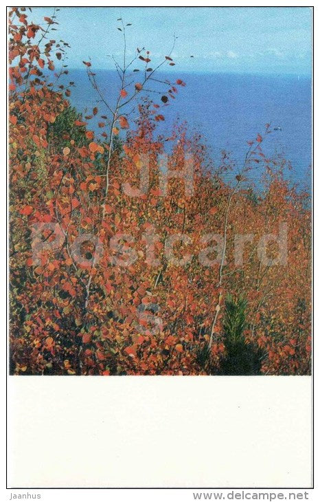 autumn - Lake Baikal - Siberia - 1971 - Russia USSR - unused - JH Postcards