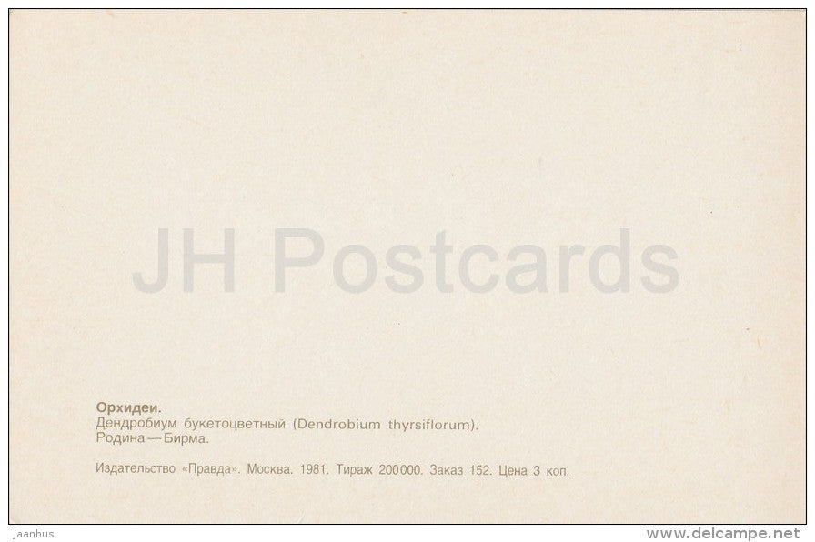 Pinecone-like Raceme Dendrobium , Dendrobium thyrsiflorum - flowers - Orchid - Russia USSR - 1981 - unused - JH Postcards