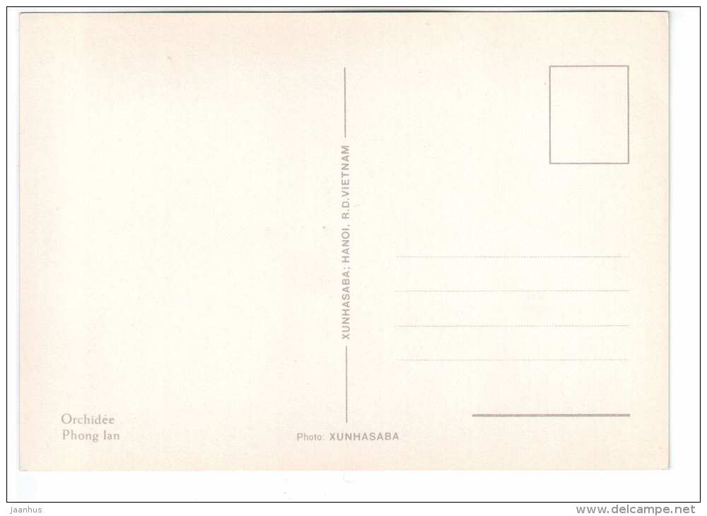 orchid - flowers - Vietnam - unused - JH Postcards