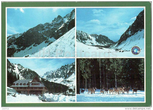 Mengusovska valley - Ostrva - Vysoke Tatry - deer - High Tatras - Czechoslovakia - Slovakia - used 1989 - JH Postcards